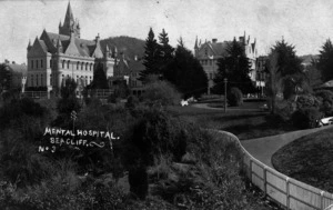 Seacliff Hospital, Dunedin