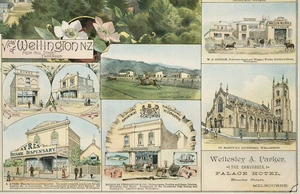 F W Niven & Co. :R Ayres, Botanic Dispensary; Hutt Park Racecourse, Nicholas Fernandos & Company; W S Cobham; St Mary's R.C. Cathedral [ca 1895]