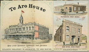F W Niven & Co. :[Te Aro House, and Thompson Bros & Company. 1895]