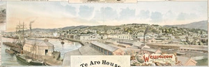 F W Niven & Co. :View of Wellington N Z from hydraulic tower railway wharf [ca 1893]