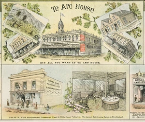 F W Niven & Co. :Te Aro House; and, Frank W Wise, hairdresser and tobacconist [ca 1895]