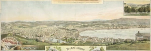 F W Niven & Co. :View of Wellington from Mt Victoria [ca 1895]