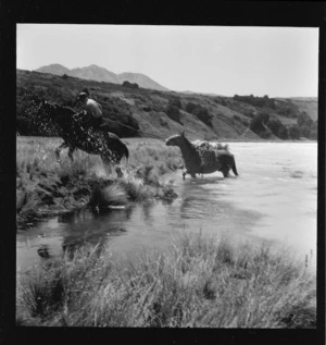 Packhorses climbing out from the Rakaia River