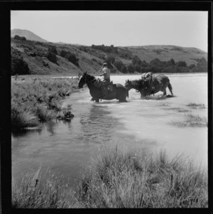 Packhorses crossing the Rakaia River