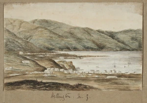 Barraud, Charles Decimus, 1822-1897 :Wellington, N. Z. C. B. del, T. S. R. lith. [Wellington, 1852?]