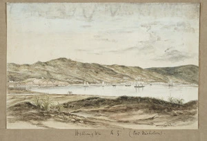Norman, Edmund, 1820-1875 :Wellington, 1852., T. S. Ralph lith, E. N. [del].