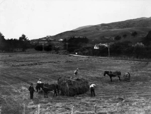 Haymaking at Tawa Flat