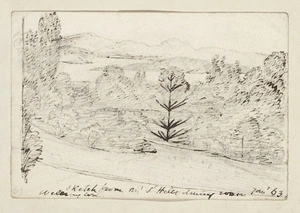 [Taylor, Richard], 1805-1873 :Sketch from Mr St Hill's dining room, Wellington, Jan '63.