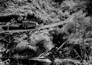 Trolley track from Waiuta to Snowy River Battery