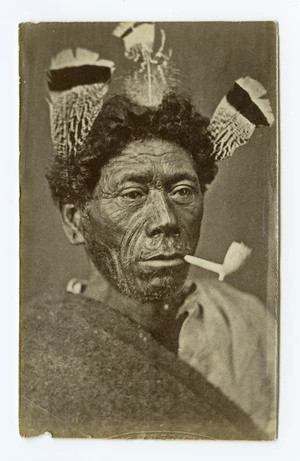 American Photo Company (Auckland) fl 1870s : [Unidentified Maori man]