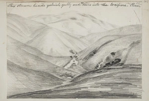 [Buchanan, John], 1819-1898 :This stream heads Gabriel's Gully and runs into the Waipora River. [1860s]