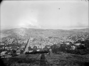 Part 2 of a 3 part panorama looking over Wellington City