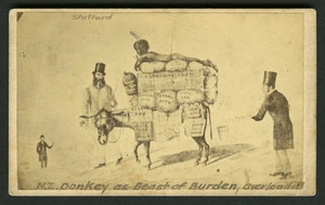 Baillie, Gordon (Wellington) fl 1866-1875 :N.Z Donkey as Beast of Burden, overloaded