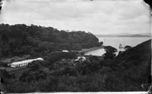 Kawau Island