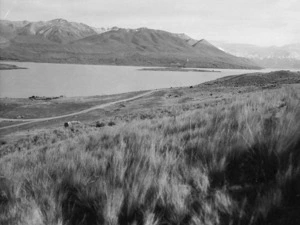 Lake Pukaki - Photograph taken by William George Weigel