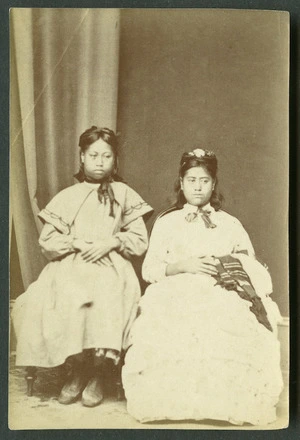 American Photo Company (Auckland) fl 1870s : [Maori portrait group - Children]