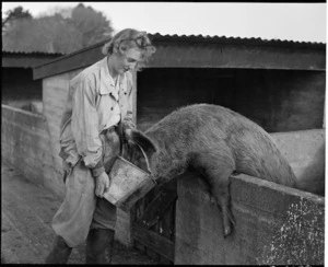 Miss Fuller feeding a pig at Marshlands - photograph taken by K V Bigwood