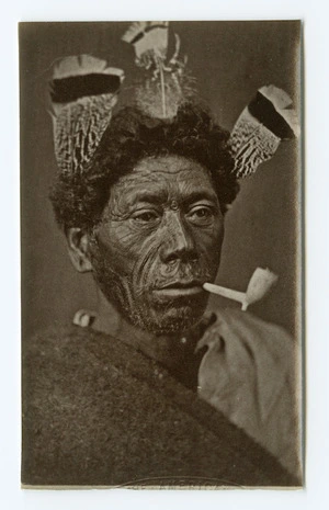 American Photo Company (Auckland) fl 1870s : [Unidentified Maori man]