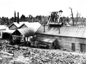 Buildings associated with the south shaft, Blackwater Mine, Waiuta