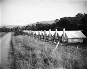 Workers tents at the labour camp in Te Horo