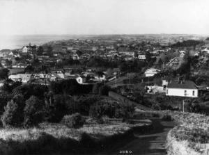 View over New Plymouth