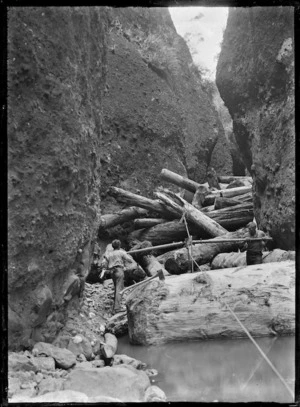 Men with kauri logs, operating a "bush devil" in a gorge near Piha