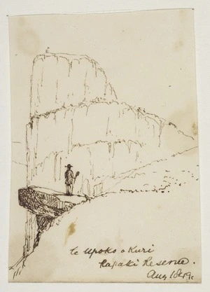 [Mantell, Walter Baldock Durrant] 1820-1895 :Te Upoko a Kuri. Rapaki Reserve. July 1849