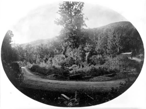 Bragge, James, 1833-1908 :Horseshoe bend and native bush, Rimutaka Hill Road