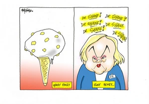 Judith Collins repeatedly saying "Dr Shane!" compared with hokey pokey ice cream