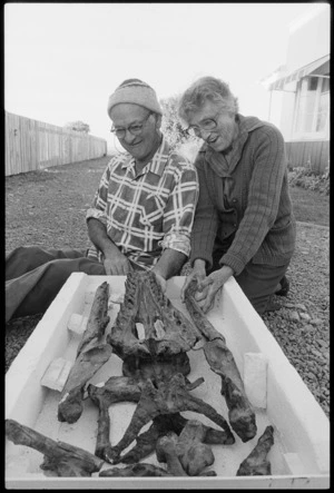 Joan and Pont Wiffen piecing together a fossil