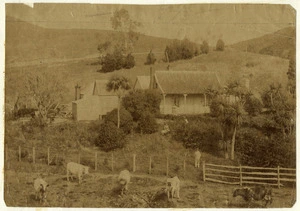 Rural house in Northland, Wellington