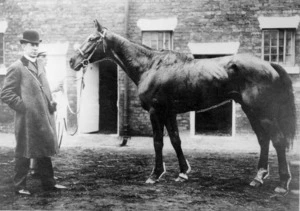 Moifaa, New Zealand bred winner of the Liverpool Grand National Steeplechase