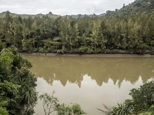 Mokau River landscapes, Taranaki Region