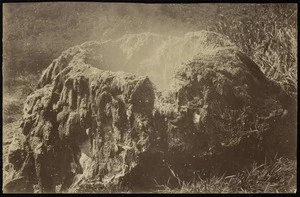 The Crow's Nest, Wairakei - Photograph taken by Herbert Deveril