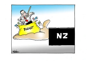 [NZ budget]