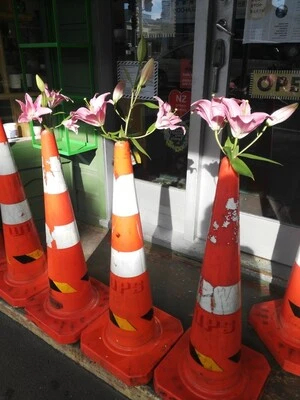 Digital photograph of a floral display and road cones at Next Stop Earth, Newtown