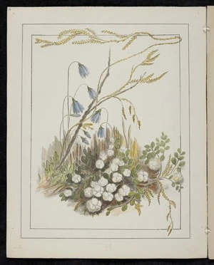 Harris, Emily Cumming 1837?-1925 :Gaultheria antipoda - Snowberry. Small flowers. [1890-1896].
