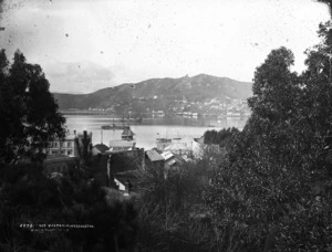 Looking from Thorndon, across Wellington harbour, to Mount Victoria