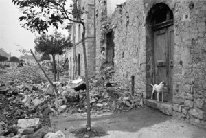 Dog by the door of a demolished house in Gessopalena, Italy