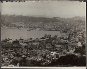 View overlooking Wellington