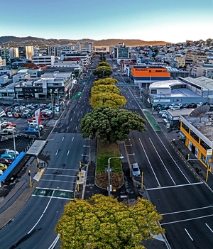 Boyes, Nik, active 2004-2020: Aerial images of Wellington during the COVID-19 lockdown