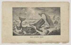 Linton, William James 1812-1898 :Boats attacking whales. [183-].