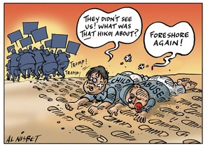 Nisbet, Alistair, 1958- :"They didn't see us! What was THAT hikoi about?" ... 30 June 2011