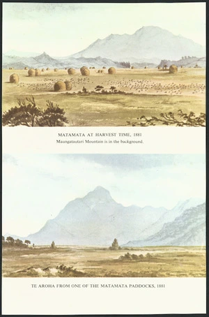 Watercolours of Matamata and Te Aroha