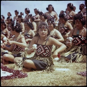 Kapa haka members performing during Waitangi celebrations