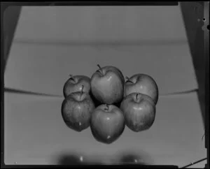 Blemished apples in studio