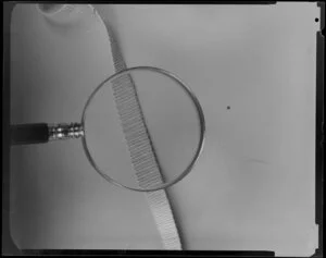 Elastic under magnifying glass