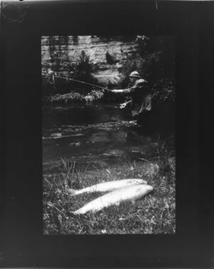 Trout fisherman in river