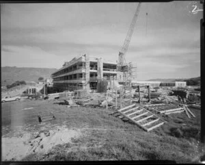 Kenepuru Hospital progress shots