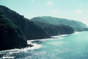 Coastal cliffs, Raoul Island